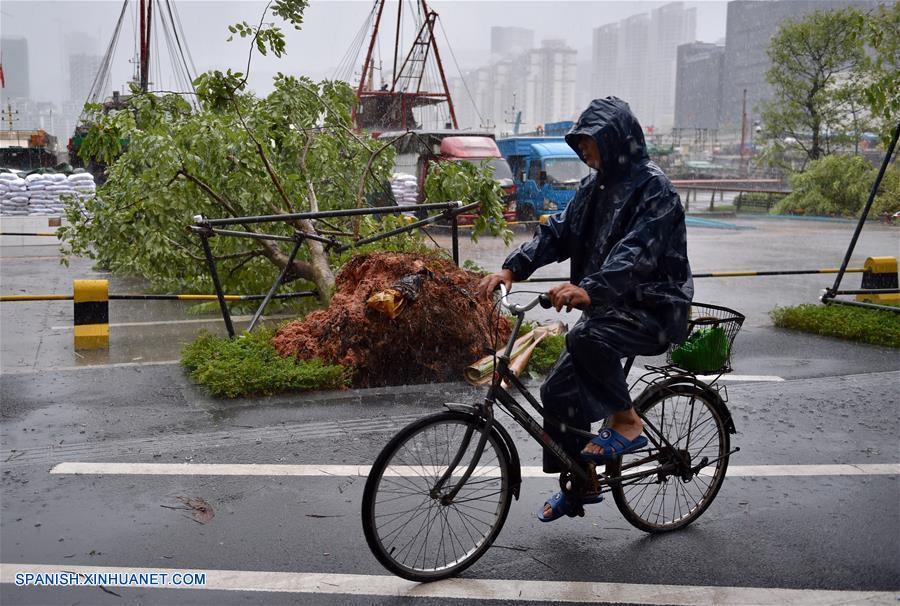 Un hombre conduce una bicicleta frente a un árbol caído en Shenzhen, en la provincia de Guangdong, en el sur de China, el 23 de agosto de 2017.(Xinhua/Mao Siqian)