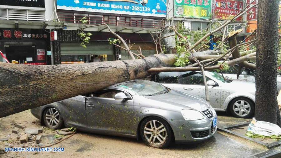Un árbol permanece caído en la ciudad de Zhuhai, en la provincia de Guangdong, en el sur de China, el 23 de agosto de 2017.(Xinhua/Str)