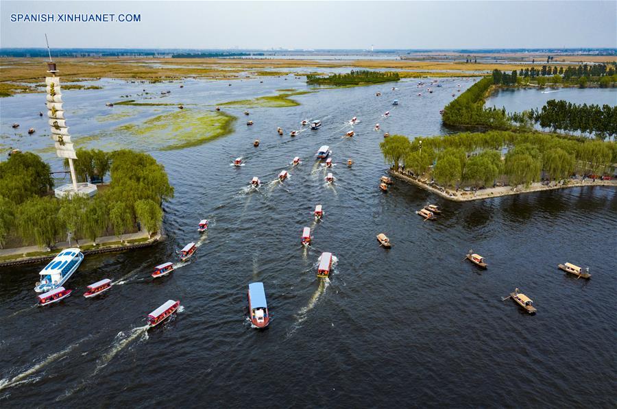 Imagen del 30 de abril de 2018 de turistas visitando el lago Baiyangdian, en la Nueva Area de Xiongan, provincia de Hebei, en el norte de China. Muchos turistas pasan su tiempo libre en la Nueva Area de Xiongan durante el día de asueto del Primero de Mayo. (Xinhua/Shen Bohan)