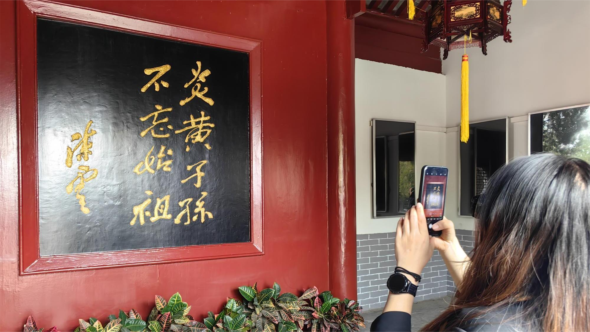 图片15