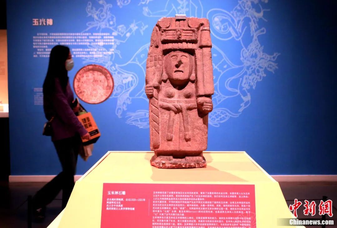 Una visitante contempla la exposición "Jaguar, un tótem de Mesoamérica" en el Museo Provincial de Liaoning. (CNS/Huang Jinkun)