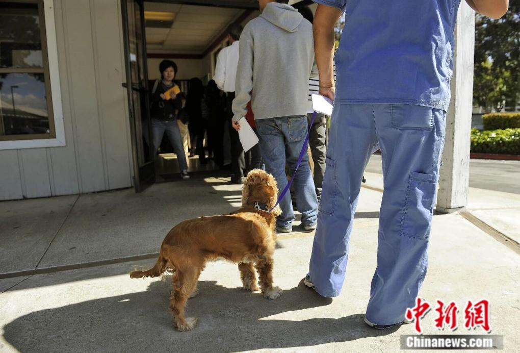 En abril de 2013, residentes de San Francisco hacen fila para enviar por correo sus declaraciones de impuestos en el día límite para presentarlas. (CNS/ Chen Gang) 